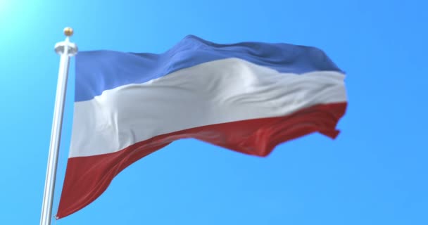 Флаг Города Мангейма Штате Баден Врттемберг Германия Петля — стоковое видео