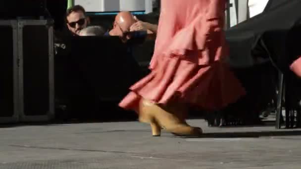 Dansers Van Flamenco Dansen Stampen Een Tablao Fase — Stockvideo