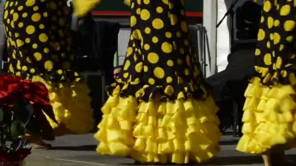 Španělské Flamenco Tanečnice Tančí Tablao Nebo Fáze Slunečný Den — Stock video