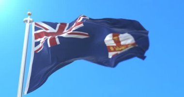 New South Wales, Avustralya Devlet bayrağı. Döngü