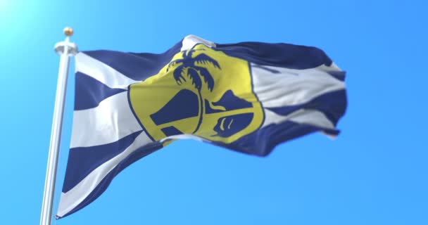 Flagge Von Lord Howe Island Tasmanischen Meer Australien Schleife — Stockvideo