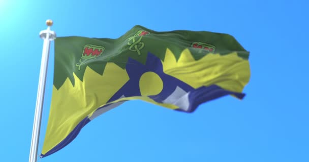 タスマニア州 オーストラリアのローンセストン市の旗 ループ — ストック動画