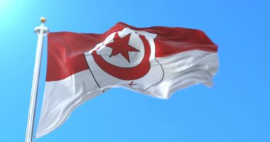 Saxony-Anhalt, Almanya devlet Halle şehir bayrağı. Döngü