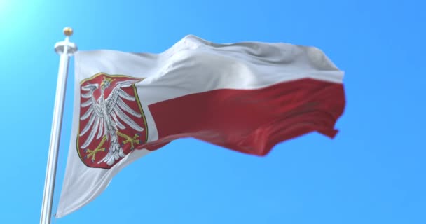 Vlajka Města Frankfurt Spolkové Zemi Hesensko Německo Smyčka — Stock video