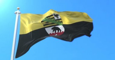 Saxony-Anhalt Almanya'nın kuzeyinde bayrağı. Döngü