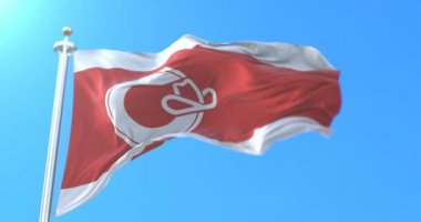Şehir Calgary Alberta, Kanada Kanada Eyaleti bayrağı. Döngü
