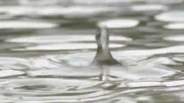 Çamura düşen su damlaları