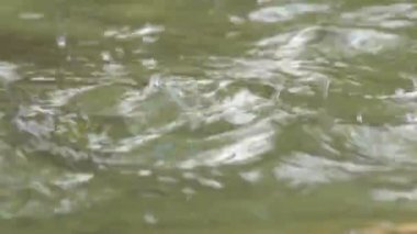 Bir su birikintisi suya düşen su damlaları