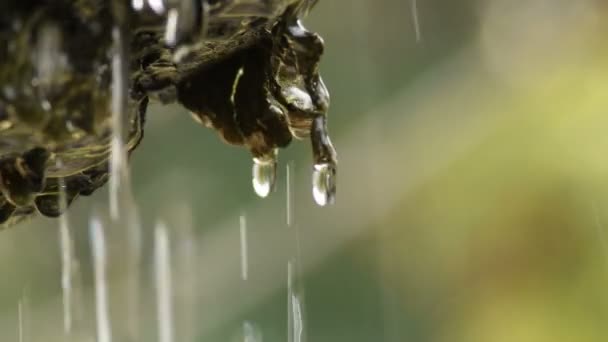 水滴滑动和下降的一块古老的喷泉 — 图库视频影像