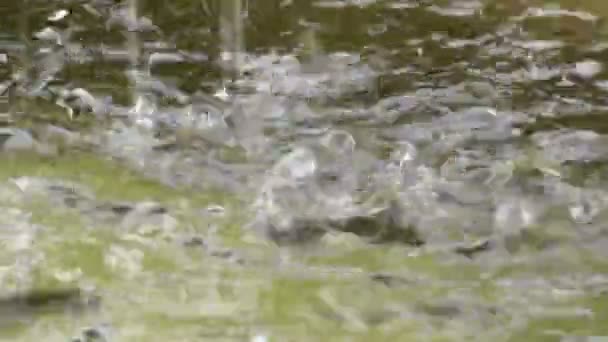 Вода Падает Лужу — стоковое видео