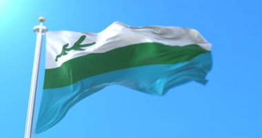 Labrador Newfoundland ve Labrador, Kanada bayrağı. Döngü
