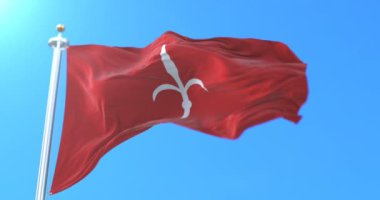 Trieste şehir Friuli-Venezia Giulia, İtalya bölgesinin bayrağı. Döngü