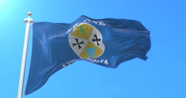Флаг Итальянского Региона Калабрия Италия Петля — стоковое видео