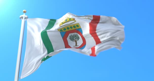 Vlajka Italské Oblasti Apulie Itálie Smyčka — Stock video