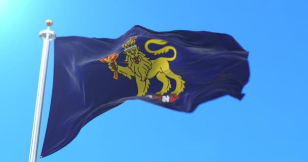 Bandera Del Gobernador General Canadá Bucle — Vídeos de Stock