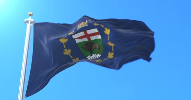 Bandera Del Vicegobernador Provincia Manitoba Canadá Bucle — Vídeos de Stock