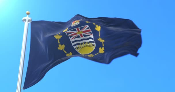 Vali British Columbia Kanada Bayrağı Döngü — Stok video