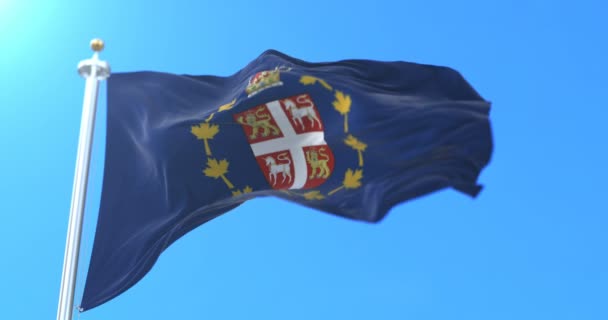 Vicegobernador Provincia Terranova Bandera Labrador Canadá Bucle — Vídeos de Stock