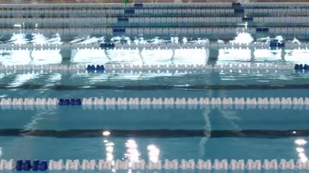 Zwemmers Zwemmen Een Race Concurreren Schoolslag Stijl — Stockvideo