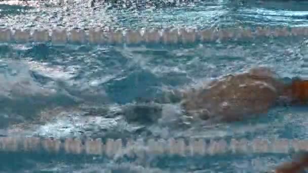 Schwimmerin Bei Einem Wettkampf Schmetterlingsschwimmen — Stockvideo