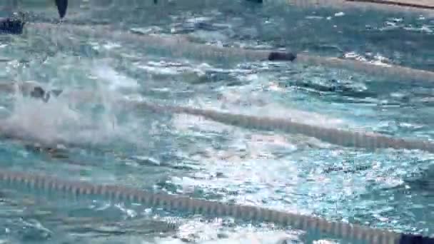 レース参戦で水泳バタフライ スタイル スイミング — ストック動画