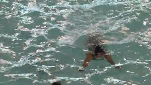 Nuotatori Che Nuotano Una Piscina Pubblica — Video Stock