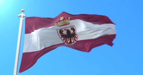 Flagge Des Trentino Der Region Trentino Südtirol Italien Schleife — Stockvideo
