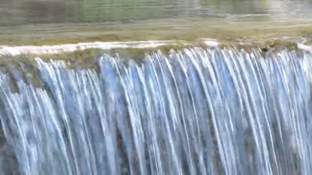 Eau pure de montagne coulant dans un petit ruisseau 