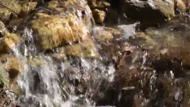 Agua Montaña Corriendo Entre Piedras Del Río — Vídeos de Stock