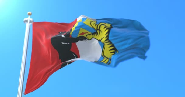 俄罗斯哈巴罗夫斯克市的旗帜和行政中心 — 图库视频影像