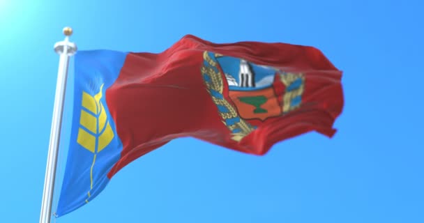 Flagge Der Russischen Föderation Der Region Altai Russland Schleife — Stockvideo