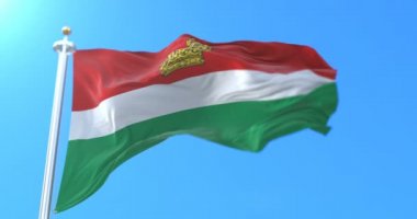 Rusya 'nın Kaluga Oblastı' nın Rusya Federal Bayrağı. Döngü