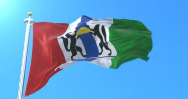 Rusya Novosibirsk Oblastı 'nın Rusya Federal Bayrağı. Döngü