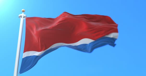 Vlag Van Russische Federale Onderdaan Van Oblast Amur Rusland Lijn — Stockvideo