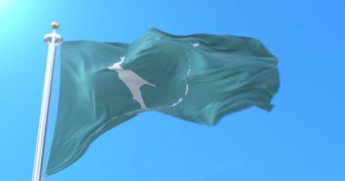 Rusya 'daki Sakhalin Oblastı' nın Rus federal şahsı bayrağı. Döngü