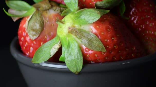 黒を基調とした天然のイチゴの果実栽培 — ストック動画