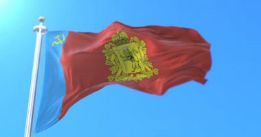 Rusya, Vladimir Oblastı 'nın Rus federal şahsı bayrağı. Döngü