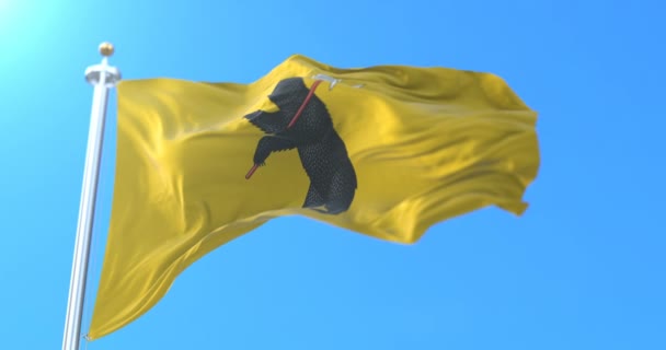 Флаг Субъекта Российской Федерации Ярославской Области Россия Петля — стоковое видео