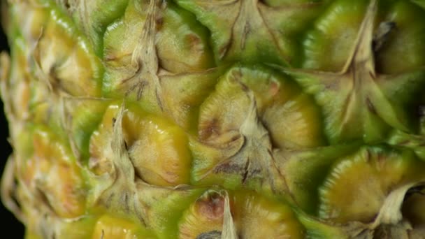 Naturlig Ananas Frukt Gyrating Detalj — Stockvideo