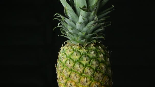 Pineapple Fruit Gyrating Black Background — Stock Video