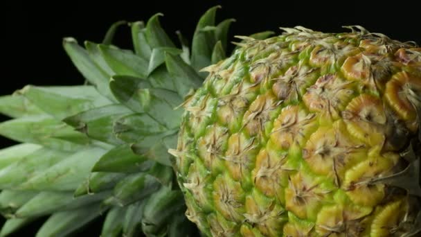 Přírodní Ananas Ovoce Víření — Stock video