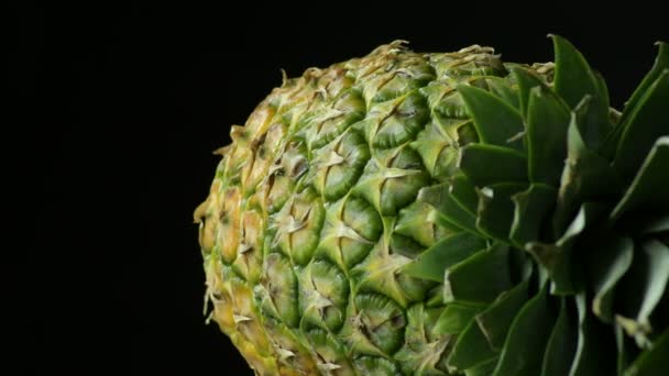 Naturalne Owoce Ananasa Gyrating Czarnym Tle — Wideo stockowe