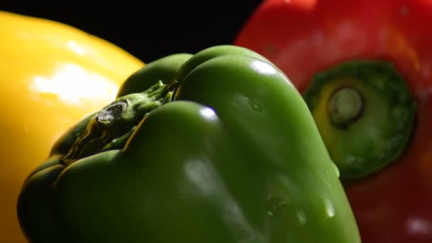 Pimientos Naturales Frescos Tricolor Verduras Giroscopio Sobre Fondo Negro — Vídeo de stock