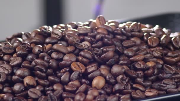 Brown Roasted Coffee Grains Beans Gyrating Coffee Roaster — Stock Video
