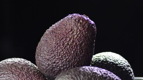 Ripe Hass Avocado Mountain Hass Avocados — Stock Video