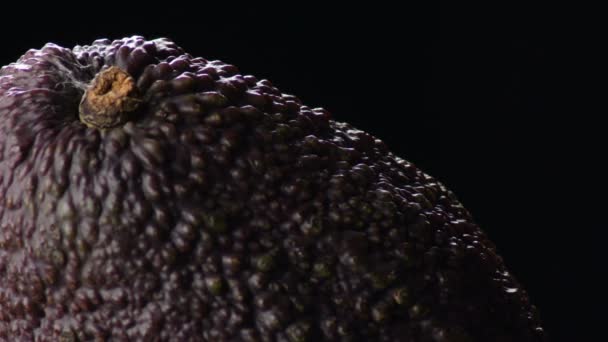 Reife Hass Avocado Haut Mit Schwarzem Hintergrund — Stockvideo