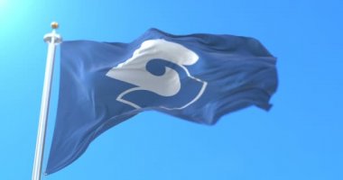 Japonya 'nın başkenti Shizuoka' nın bayrağı. Döngü