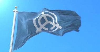 Japonya 'nın başkenti Oita' nın bayrağı. Döngü