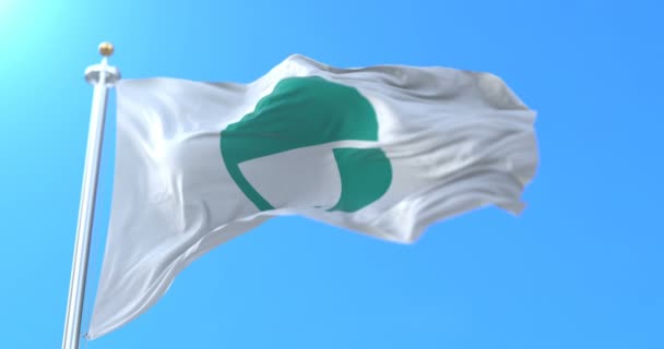 Флаг Столицы Города Нагано Япония Петля — стоковое видео