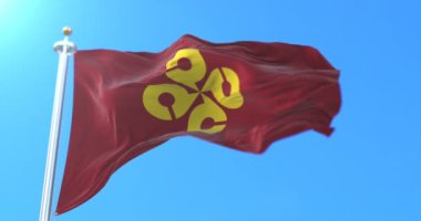 Japonya 'nın Shimane Eyaleti Japon bayrağı. Döngü